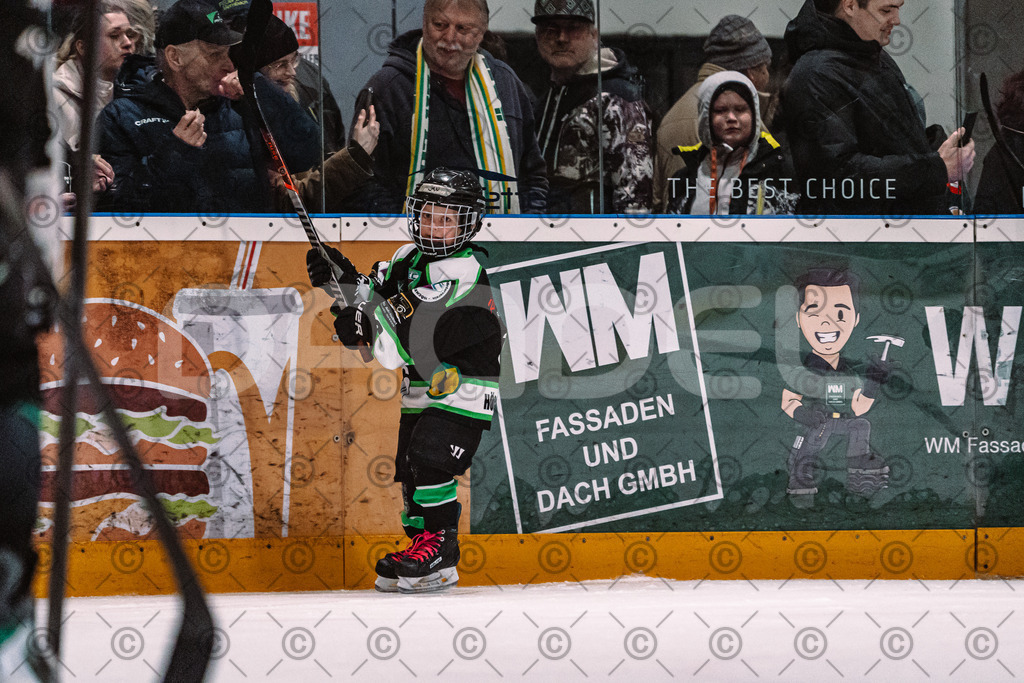 Alligators_vs_Erding_01_02_2026-30 | Höchstadt Alligators Fotogalerie: Eishockey-Action aus Franken. Professionelle Spielfotos, Portraits & Stadionbilder zum Download. Jetzt entdecken! - Realisiert mit Pictrs.com