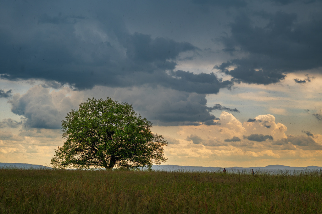 Gewitter auf der Erpeler Ley | Eine Gewitterfront zog am Samstag Nachmittag von der Eifel aus über den Rhein. Das Foto entstand auf der Erpeler Ley. - Realisiert mit Pictrs.com