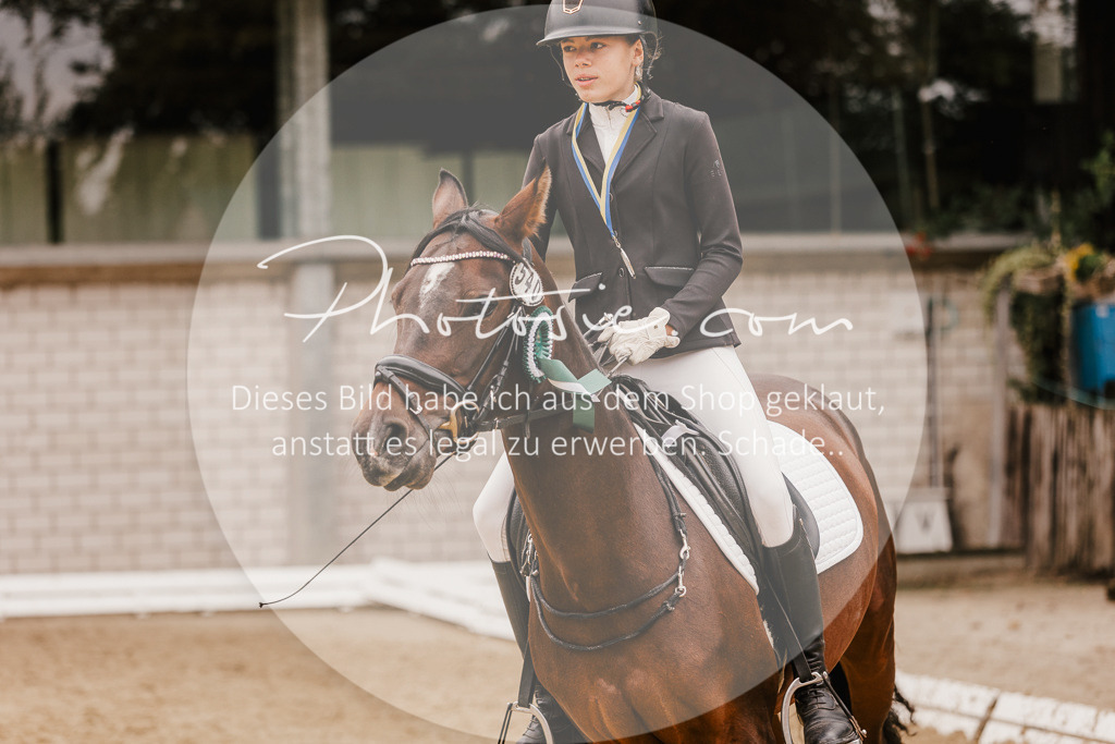 3I6A0003 | Stimmungsvolle Portraits und Reitsportfotografie im Ruhrgebiet und im Münsterland.

Pferdefotografie, Hundefotografie, Tierfotografie, Reportagen, Portraits von Tier und Mensch, Turnierfotografie in Bochum, Recklinghausen, Marl, Haltern am See, Dülmen.. - Realisiert mit Pictrs.com