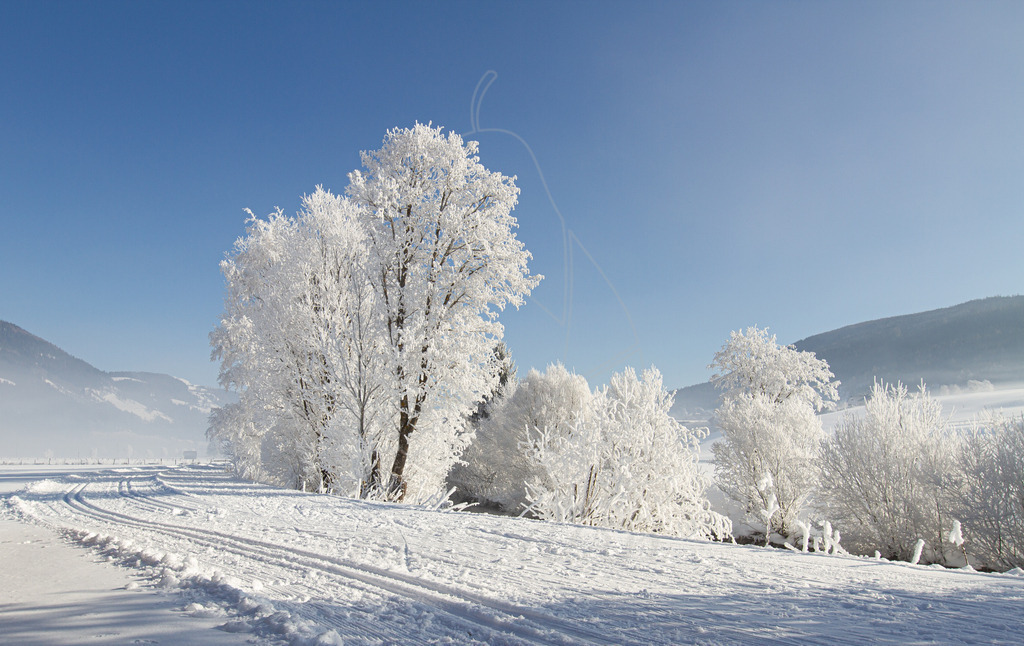 Langlaufen im Lungau | Bei Veröffentlichung des Bildes ist eine Namensnennung wie folgt erforderlich: 
Foto: Mostdirn Irmgard Wieser - Realisiert mit Pictrs.com