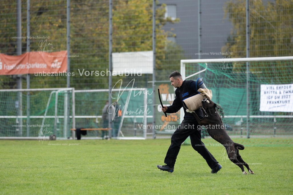 _16A7111 | Einzigartige Fotos von Hunden & Menschen –Actionfotos, Portraits, Vereinsaufnahmen & Paarshootings – authentisch, lebendig & mit Herz.