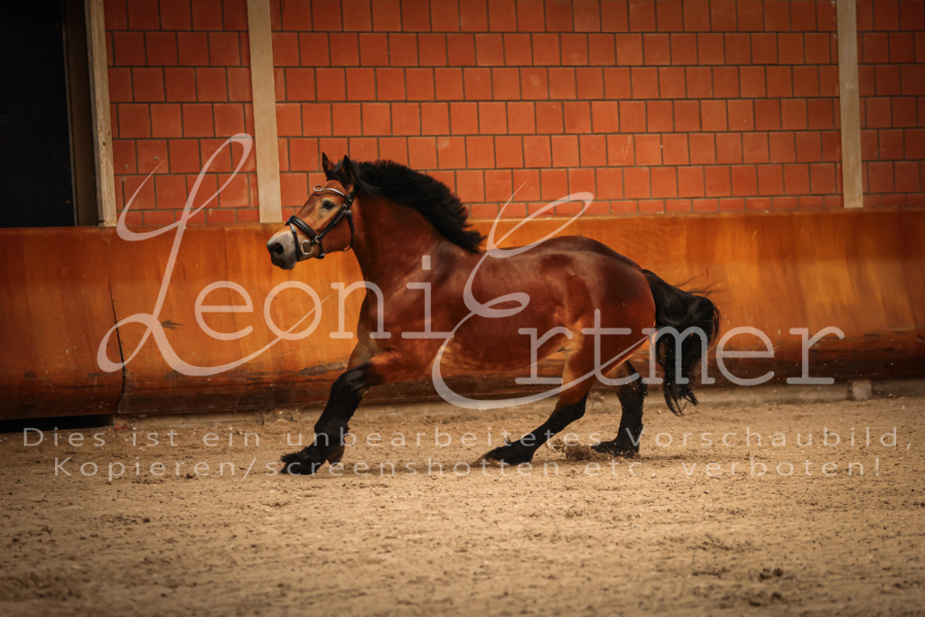 SaFL00049 | Leoni Ertmer Photography - Realisiert mit Pictrs.com