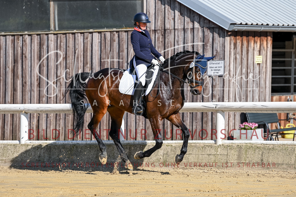 Schugtsche-Aluta25-51.Dressurpferdeprf.M-20 | Schugtsche Fotografie - Realisiert mit Pictrs.com