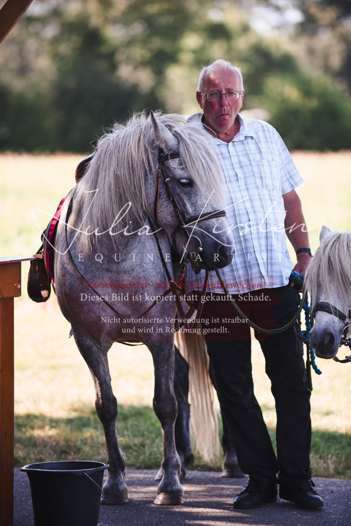 DSC_2684 | Pferde- und Turnierfotografie in Westsachsen. Pferdeportraits, Auftragszeichnungen und intuitive Kunst.