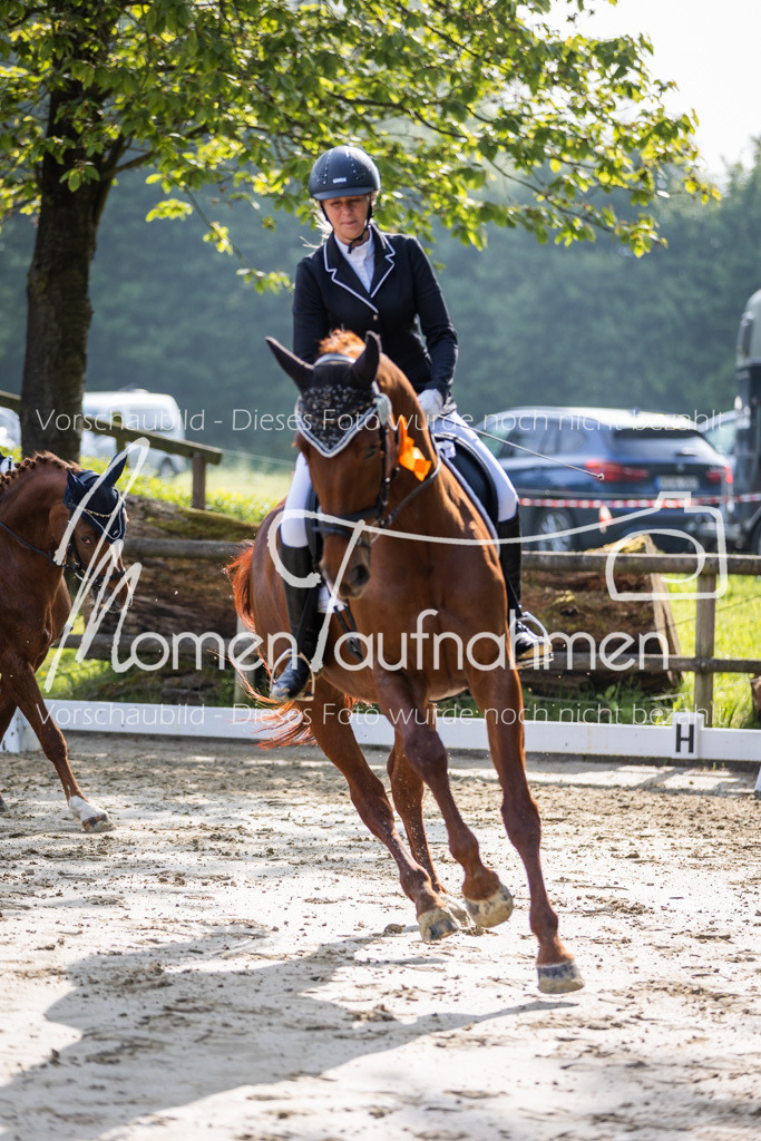 Donop24-A-Dre-165 | MomenTaufnahmen Pferdesportfotos