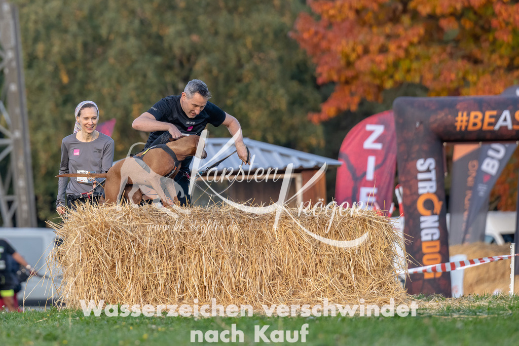 0856_ZZ91740-Bearbeitet | kk-dogfotos