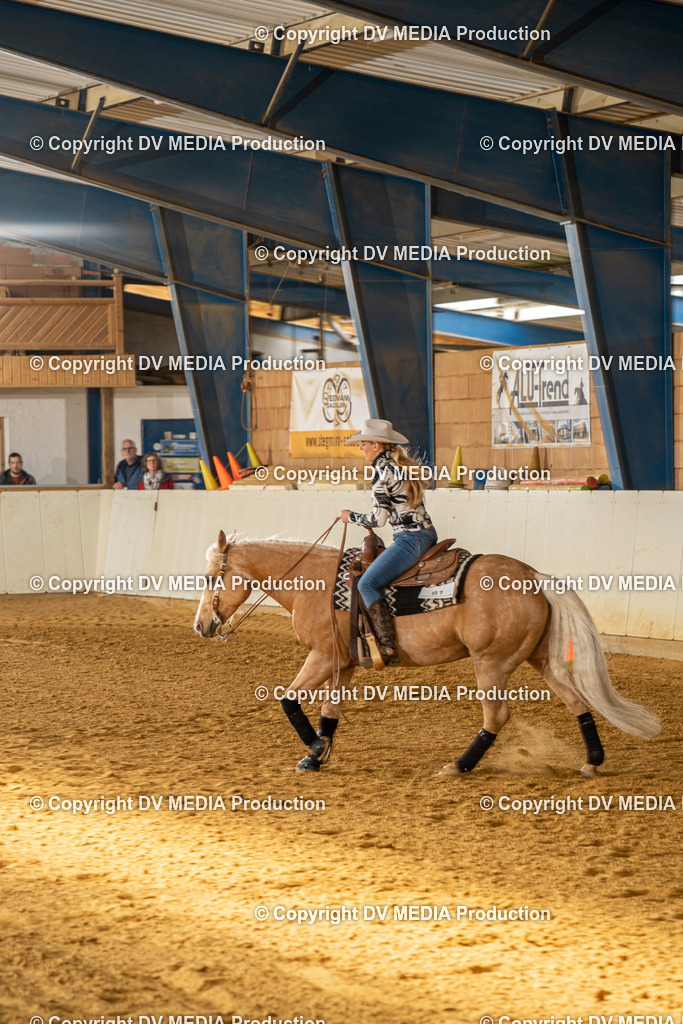 MIT01075 | dv-media-shop - Realisiert mit Pictrs.com