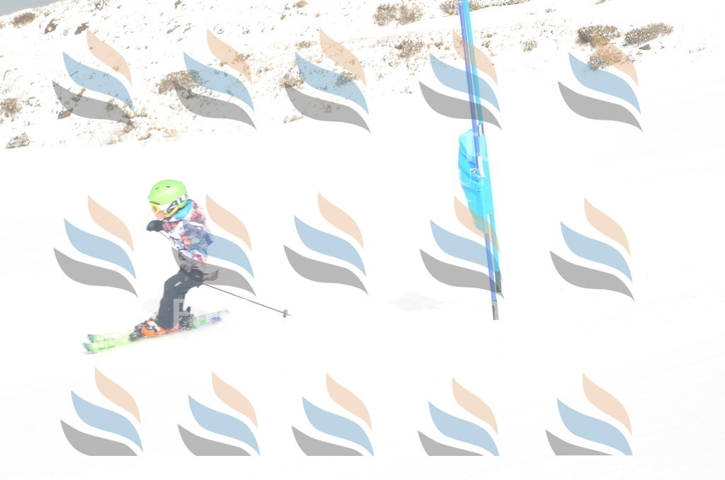 A5217 | holidayphoto