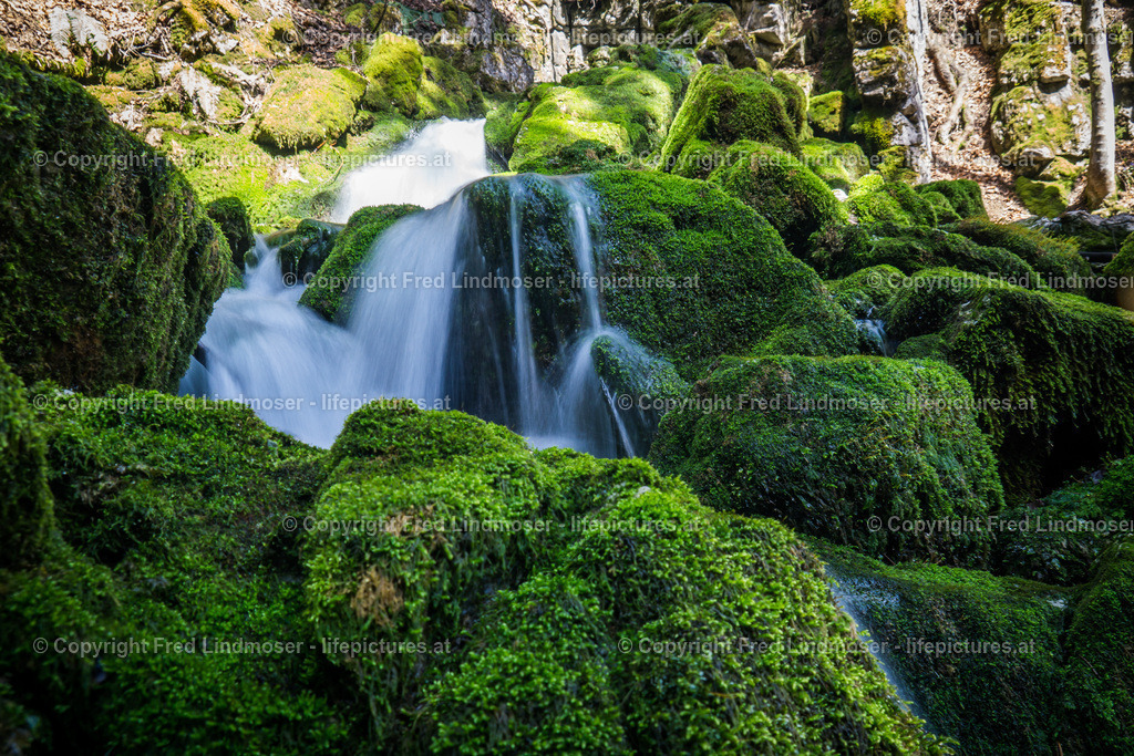 Erlaufursprung April 2015 DSC09903 | Fotos und Fotoprodukte - Realisiert mit Pictrs.com