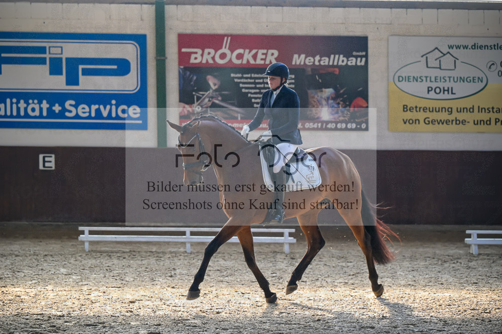 Reitturnier Voxtrup | Entdecke hochwertige Reitturnierfotos von Foto Oger. Professionell, emotional und authentisch – jetzt Lieblingsmomente im Shop bestellen.Deutschlandweite Turnierfotografie. - Realisiert mit Pictrs.com