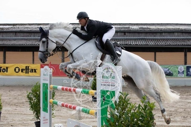 2B4A1155 | pixelfaenger - Realisiert mit Pictrs.com