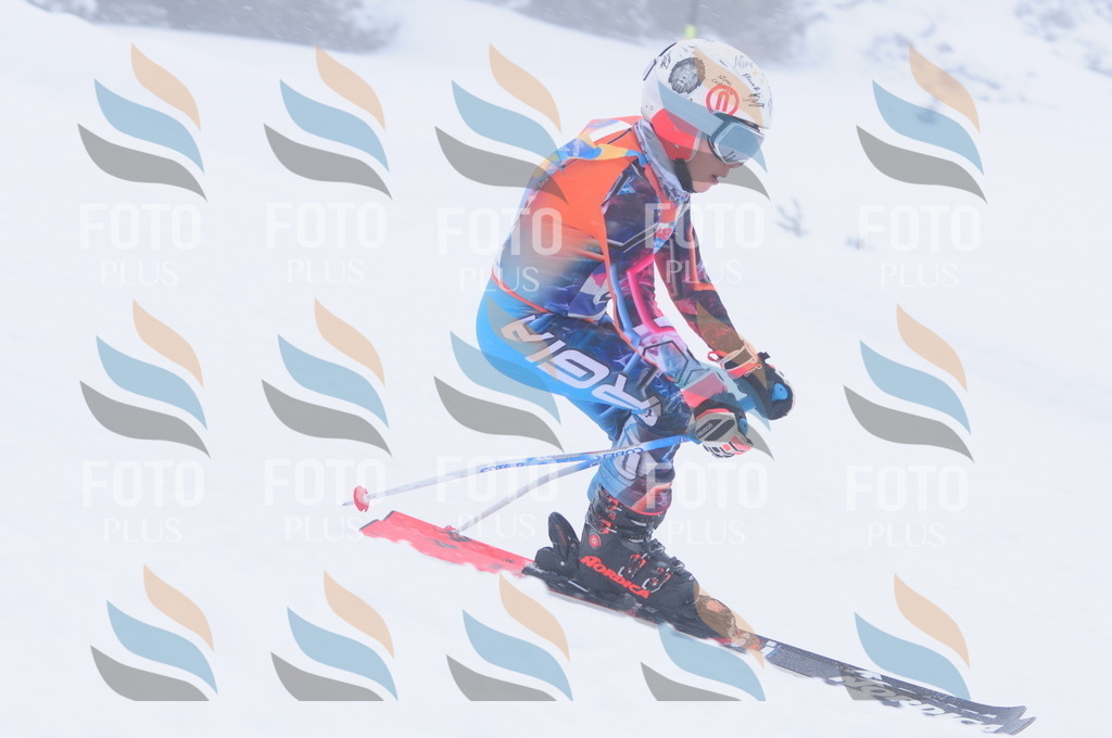 C2250 | holidayphoto