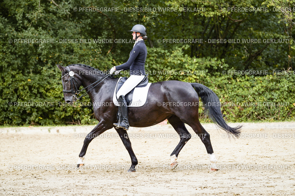 DSC05223 | Pferdegrafie