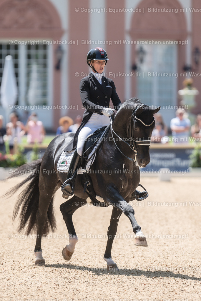 20230528_03_GP-Special-Tour_0251 | equistock