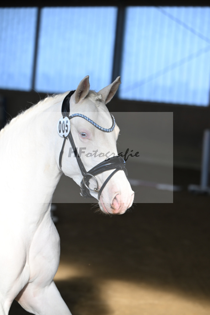 Kat-Nr. 5 EMR Gamarelli v. Giotto_Rupp_49250137 | hf-fotografie - Realisiert mit Pictrs.com