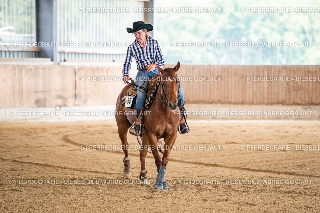 DSC04274 | Pferdegrafie