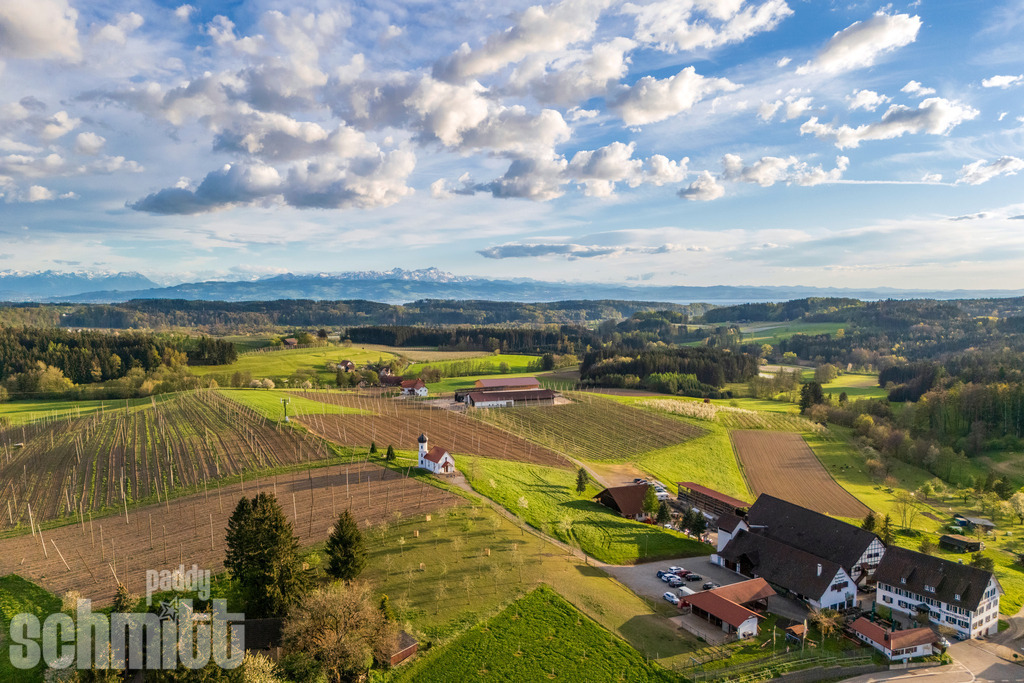 PS-Bodenseeregion-2026-98 | Entdecke die größte Bildgalerie der Region mit Fotografien aus dem Allgäu, der Bodenseeregion, Oberschwaben, dem Donautal und der Schwäbischen Alb. Landschaften, Luftaufnahmen und Reisefotografie als Wandbild und Fotokunst. - Realisiert mit Pictrs.com