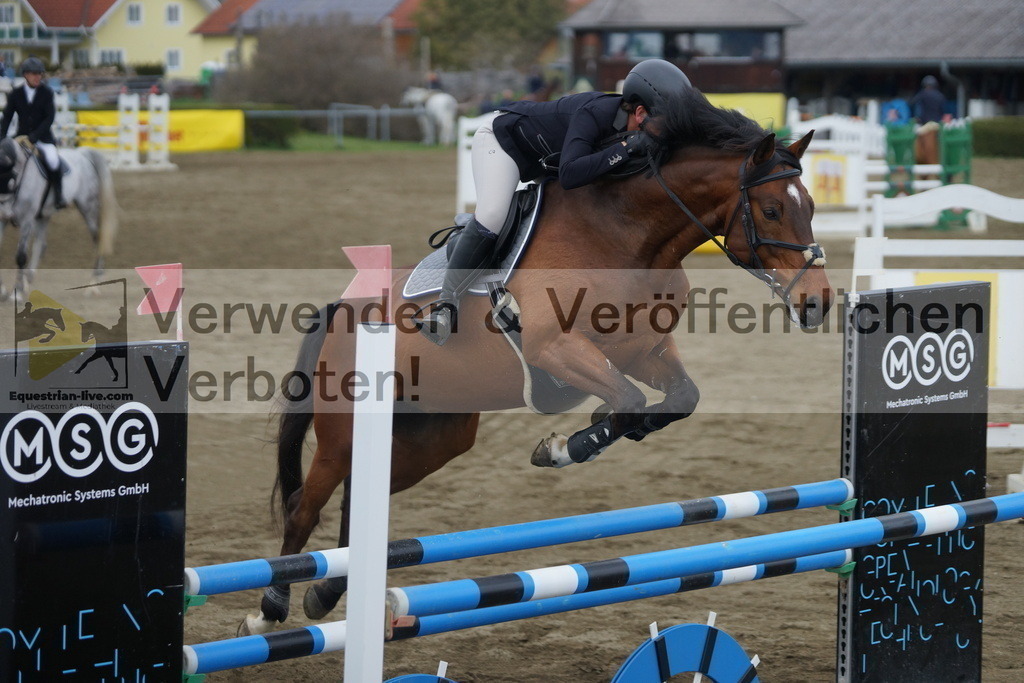 DSC01130 | equestrian-live-com