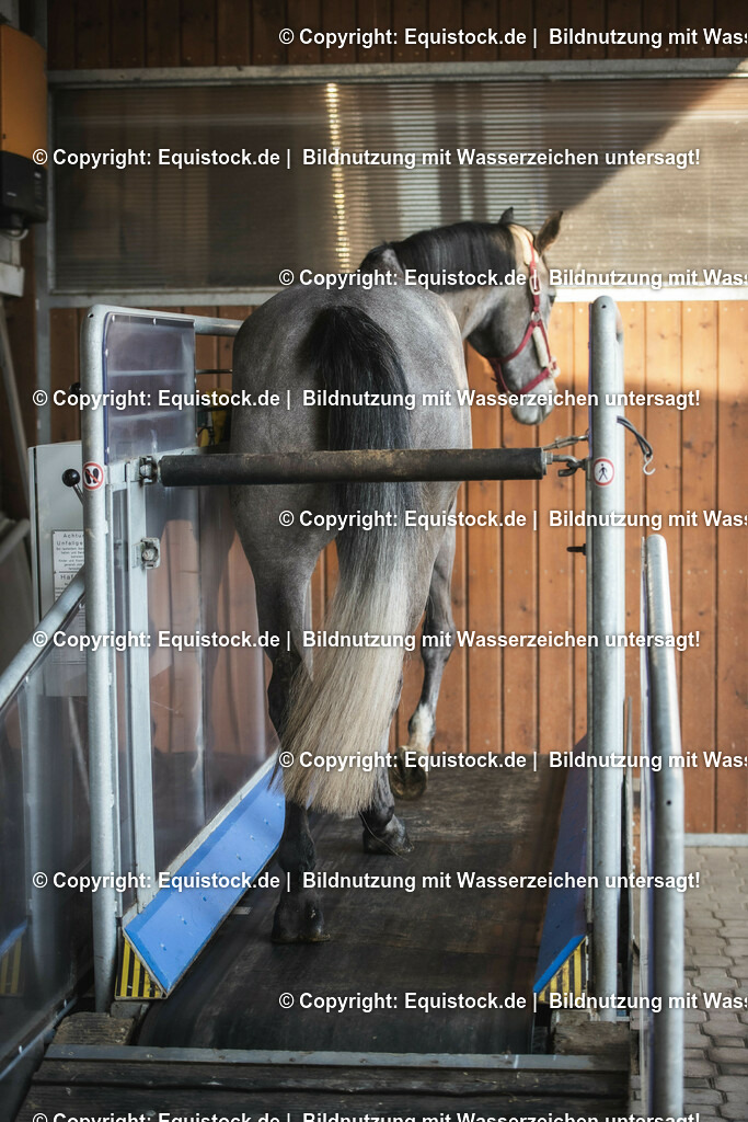 20200118_Laufband_0033 | Foto: Thomas Hartig