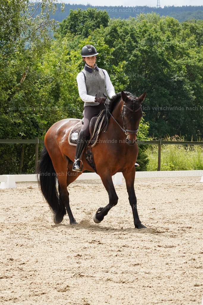 KlasseE_Lucie478 | working equitationturnier fotograf videograf stoibphotography marixx film working equitation deutschland reitsport turnierfotografie eventfotografie equestrian events