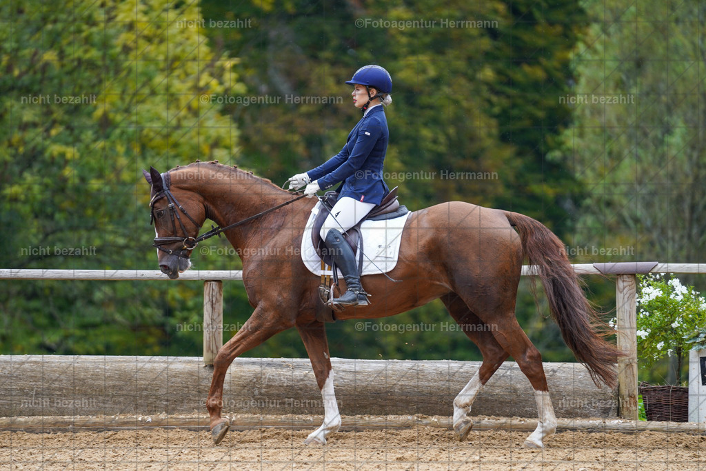 20221008-FAH01728 | Diessen am Ammersee, 2022, Dressur- und Springturnier, Reitsportbilder, Turnierfotografen Bayern, Pferdefotografen, Fotoagentur Herrmann, Turnierbilder