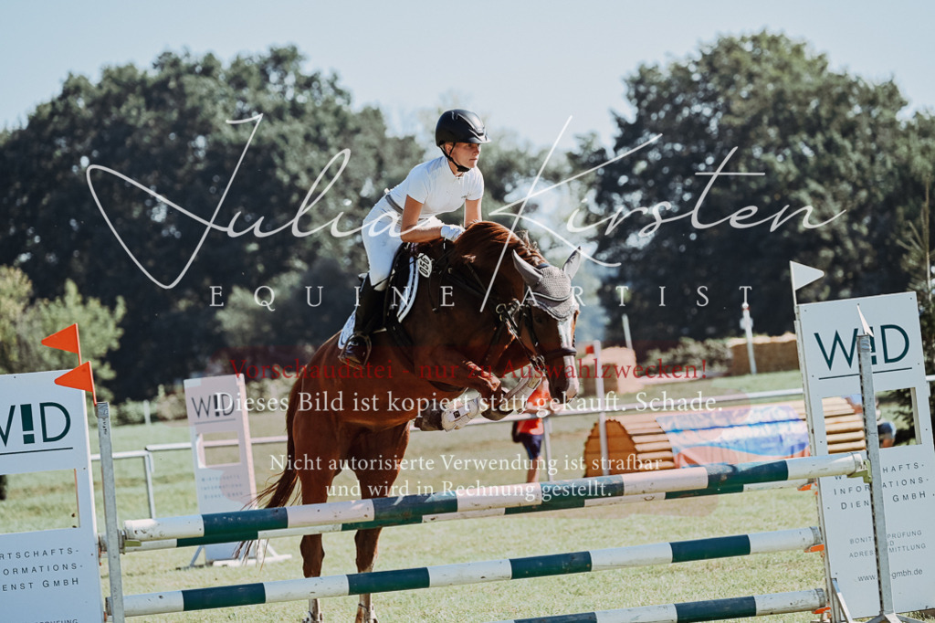 DSC_5602 | Pferde- und Turnierfotografie in Westsachsen. Pferdeportraits, Auftragszeichnungen und intuitive Kunst.