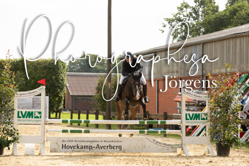 IMG_6616 | photographesa-joergens - Realisiert mit Pictrs.com