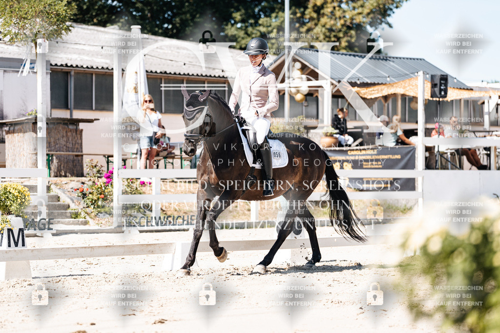 CK909421 | Turnierfotografie Pferdefotografie Trier Rheinland-Pfalz Pferdesport Reitsport Tierfotografie Sportfotografie Pferdevideo Pferdevideografie Equestrianvideography equestrianphotography  - Realisiert mit Pictrs.com