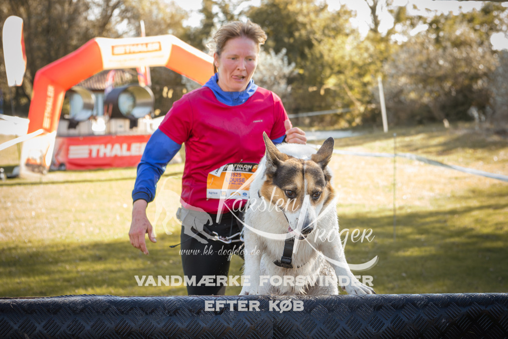 1227_ZZ96417-2 | kk-dogfotos