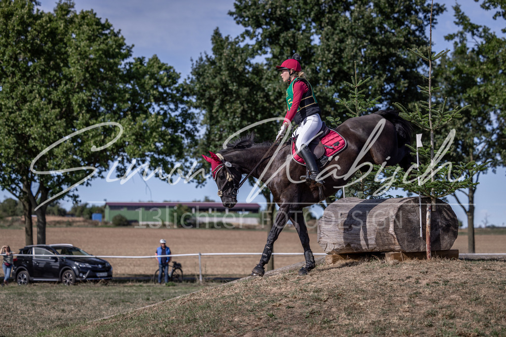 20260906-_3LI6241 | Tierfotografie Pferde, Hunde, Katzen, Haustiere.
Turnierfotografie Reitturniere, Reiten, Springreiten, Dressur in Hanau, dem Main-Kinzig-Kreis und dem Rhein-Main- Gebiet um Frankfurt