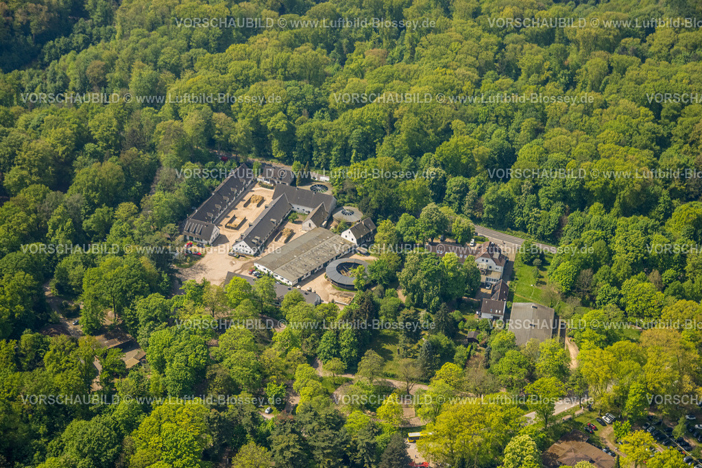 Duesseldorf240501073 | Luftbild, Häuser im Wald, Pferderennbahn Grafenberg, Galopprennbahn Düsseldorf, Düsseldorfer Reiter- und Rennverein, Ludenberg, Düsseldorf, Rheinland, Nordrhein-Westfalen, Deutschland