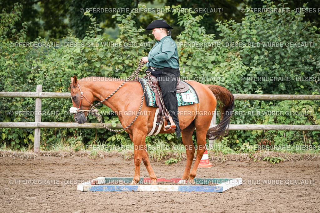 DSC02824 | Pferdegrafie