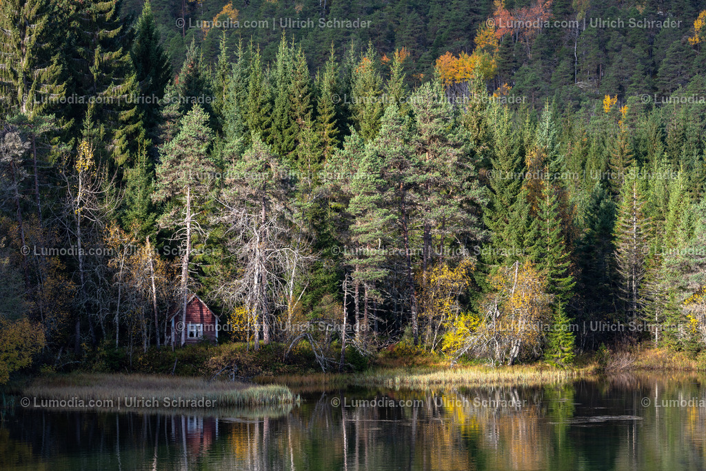 10047-10052 - Herbststimmung am See - Norwegen | Stockfoto und Bilderpool mit Bildmaterial aus Deutschland, dem Harz, Halberstadt, Quedlinburg, Wernigerode und weltweit. Qualitativ hochwertige und professionelle Fotos anschauen und kaufen. - Realisiert mit Pictrs.com
