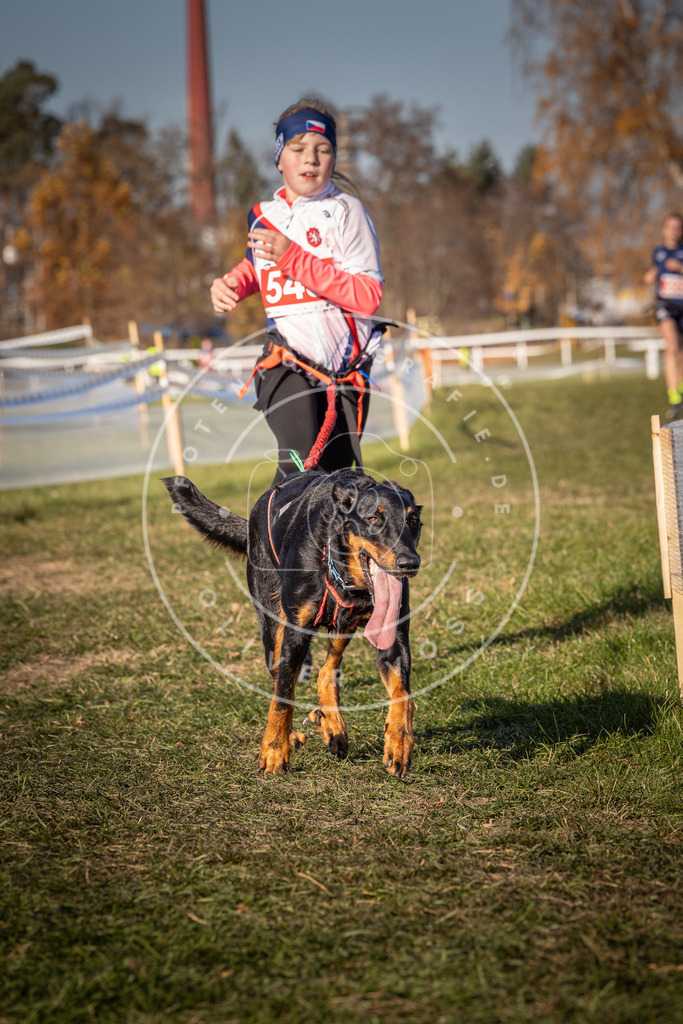 CaniXpix_0L8A7683 | Hundefotografie, Tierfotograf, Pfotenfotografie, Fotoshooting Hund, Hunde Portrait, Hundesport, Hundeportraits, Heideshooting, Hunde, Sportfotograf, Hundefotograf, Turnierhundsport, THS,  - Realisiert mit Pictrs.com