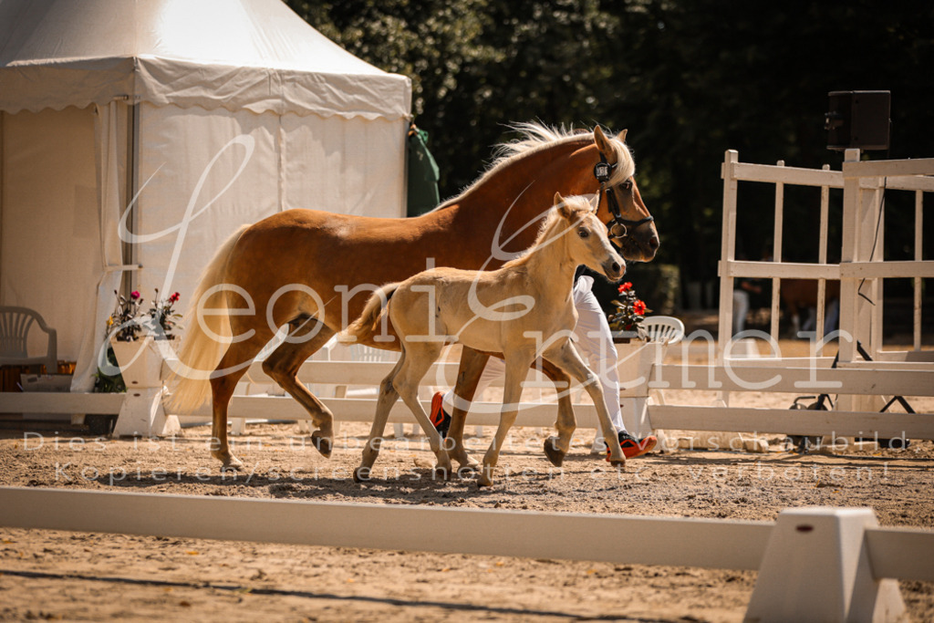 06.DoH00145 | Leoni Ertmer Photography - Realisiert mit Pictrs.com