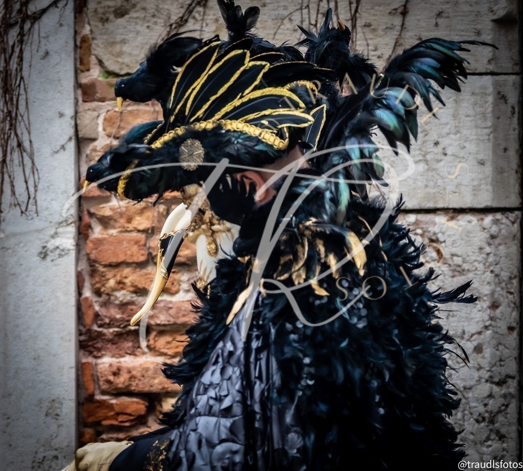 28BA5C5A-2437-4D0B-B534-140C1B988509 | traudl_s_fotos
