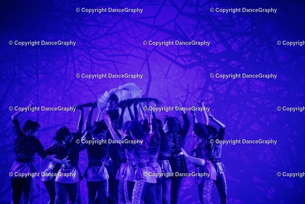 GPHY1684 | DanceGraphy - Realisiert mit Pictrs.com