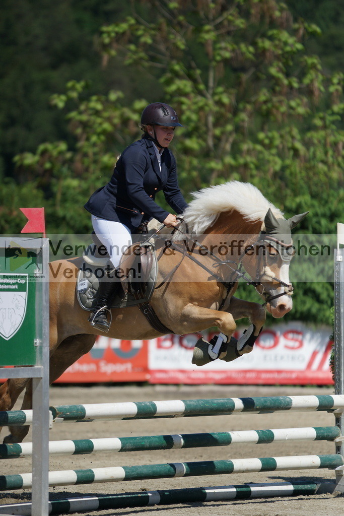 DSC06227 | equestrian-live-com