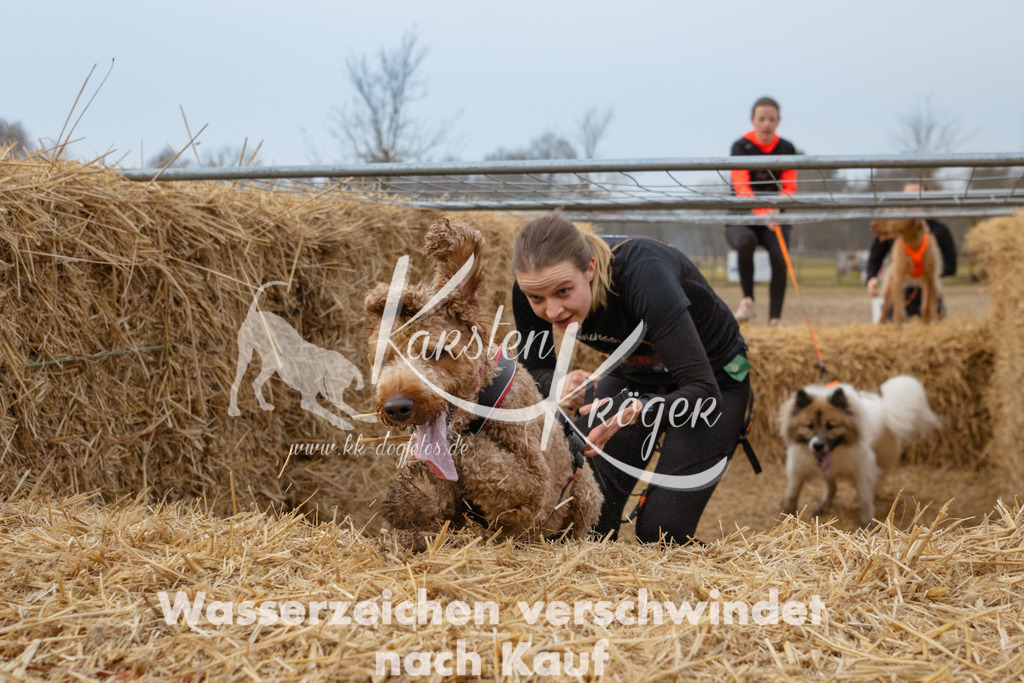 0821_ZZ92550 | kk-dogfotos