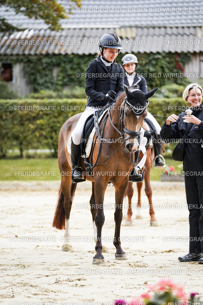 DSC04980 | Pferdegrafie