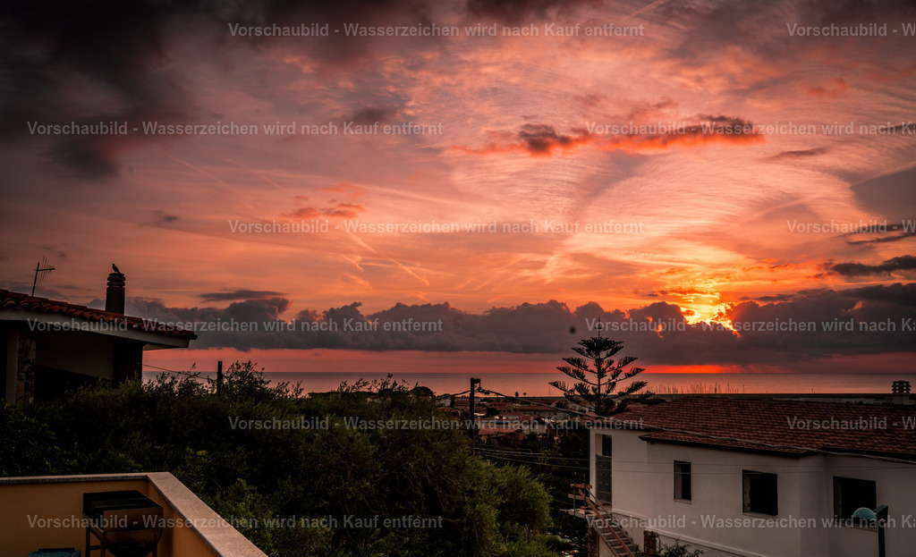 DSC09505 | marcuslinek