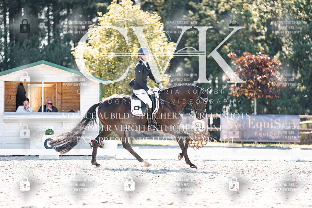 CK905613 | Turnierfotografie Pferdefotografie Trier Rheinland-Pfalz Pferdesport Reitsport Tierfotografie Sportfotografie Pferdevideo Pferdevideografie Equestrianvideography equestrianphotography  - Realisiert mit Pictrs.com