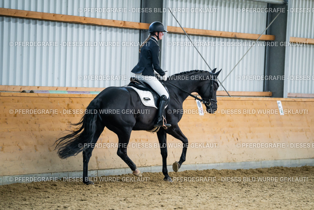 DSC05945 | Pferdegrafie