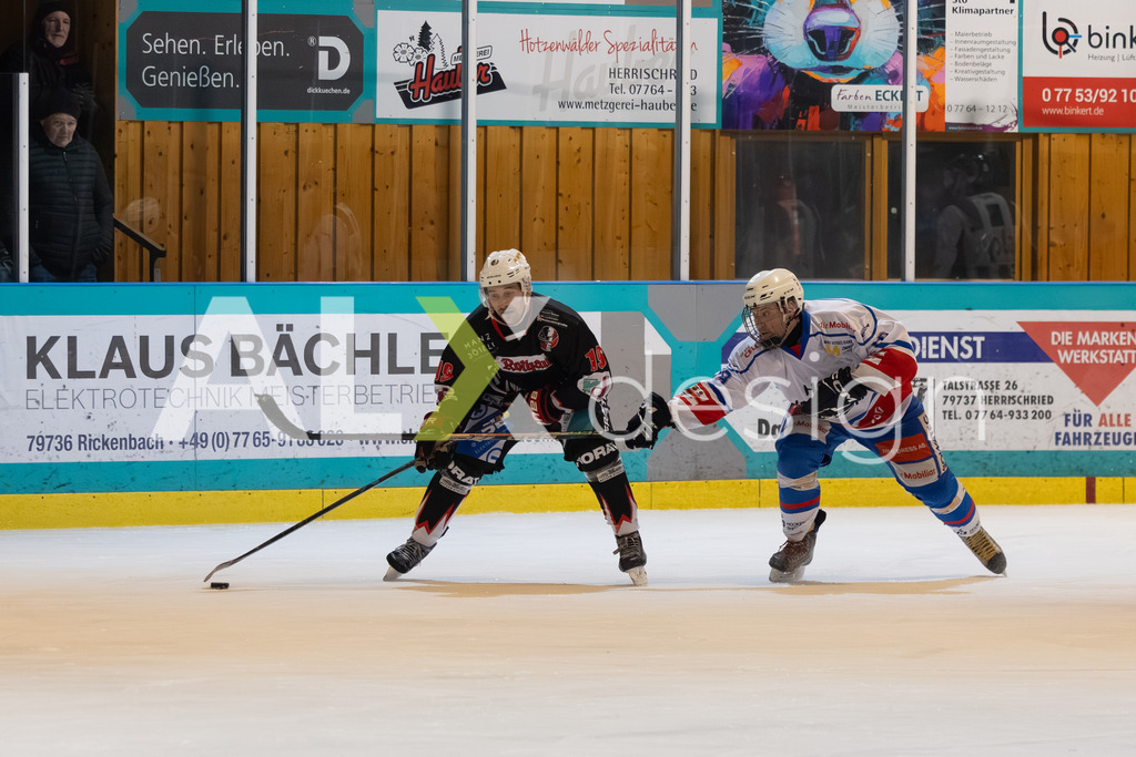 Eishockey I Herren I Saison 2025-2026 I Regio League | 3. Liga Regular Season Gr. 1 ZS | Men I 17. Spieltag I EHC Herrischried - HC Wohlen Freiamt I 01.02.2026 | Hochwertige Sportfotos kaufen & lizenzieren für Medien, Vereine, Agenturen & Sportler:innen. Entdecke professionelle Sportfotografie im Bildshop von Alexander Franzen. - Realisiert mit Pictrs.com