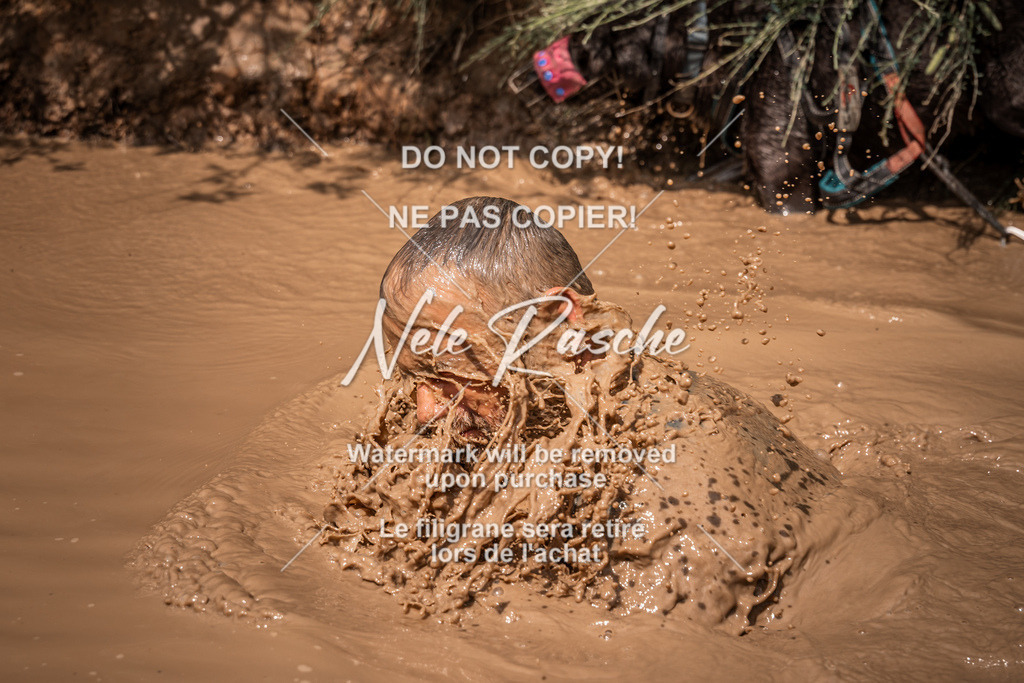 nelerasche_Hoope2026_So1400-1430_110 | nelerasche