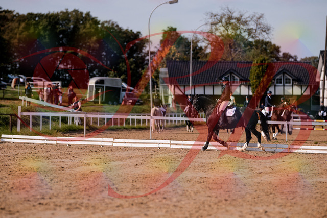 2026_10_03_Siefer-Hof_120635_Z81_07372878 | Professionelle Reitsport-, Turnier- und Eventfotografie von Robert Broda. Galerien mit ausgewählten und bearbeiteten Bildern direkt online ansehen und bestellen.