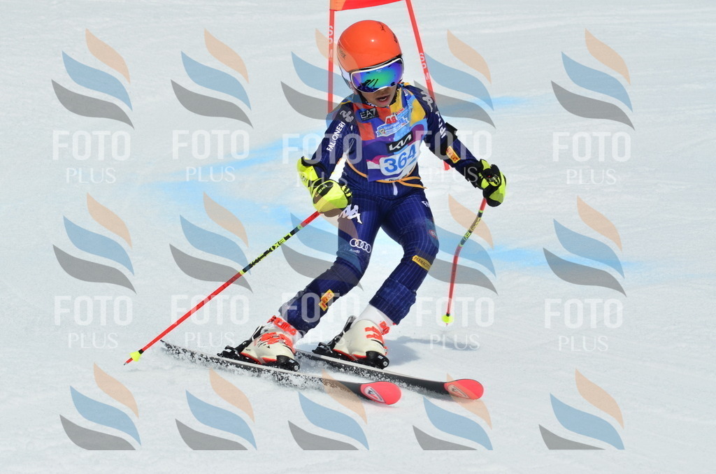 _ELE2921 | holidayphoto