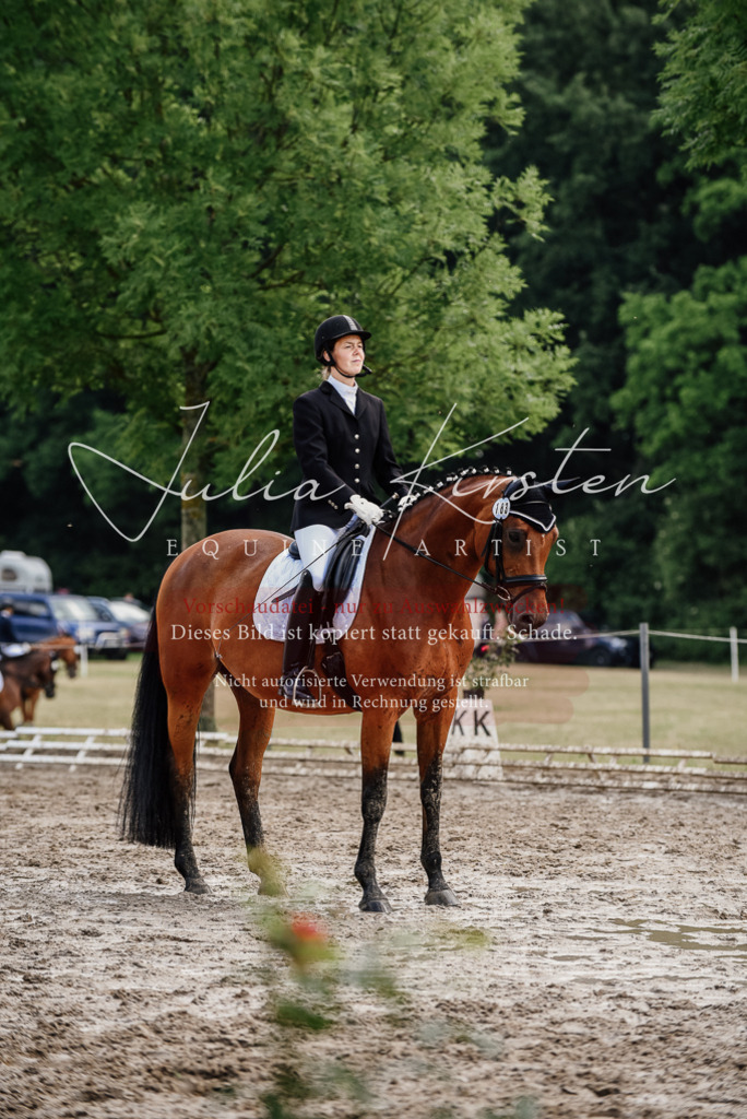 DSC_9738 | Pferde- und Turnierfotografie in Westsachsen. Pferdeportraits, Auftragszeichnungen und intuitive Kunst.