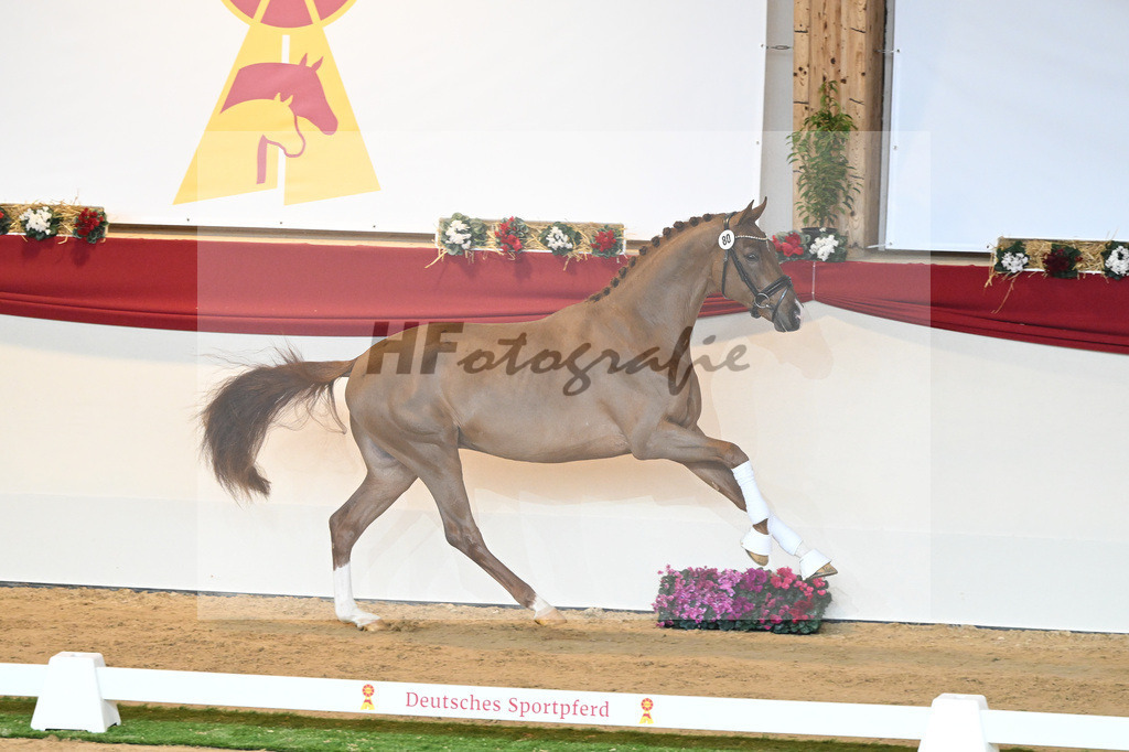 Kat-Nr. 80 Viva Gold_Buergers_1230458 | hf-fotografie - Realisiert mit Pictrs.com