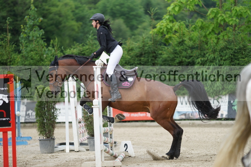 DSC07650 | equestrian-live-com